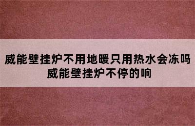 威能壁挂炉不用地暖只用热水会冻吗 威能壁挂炉不停的响